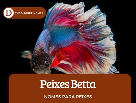 nomes para peixes betta masculino - peixe betta como alimentar